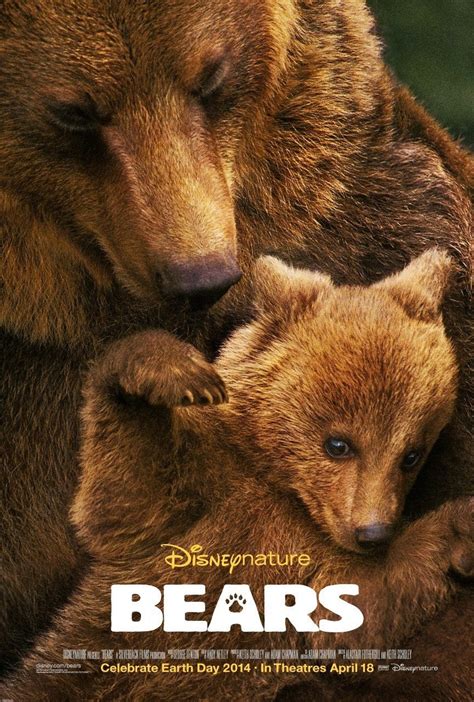 Wild Bear Films